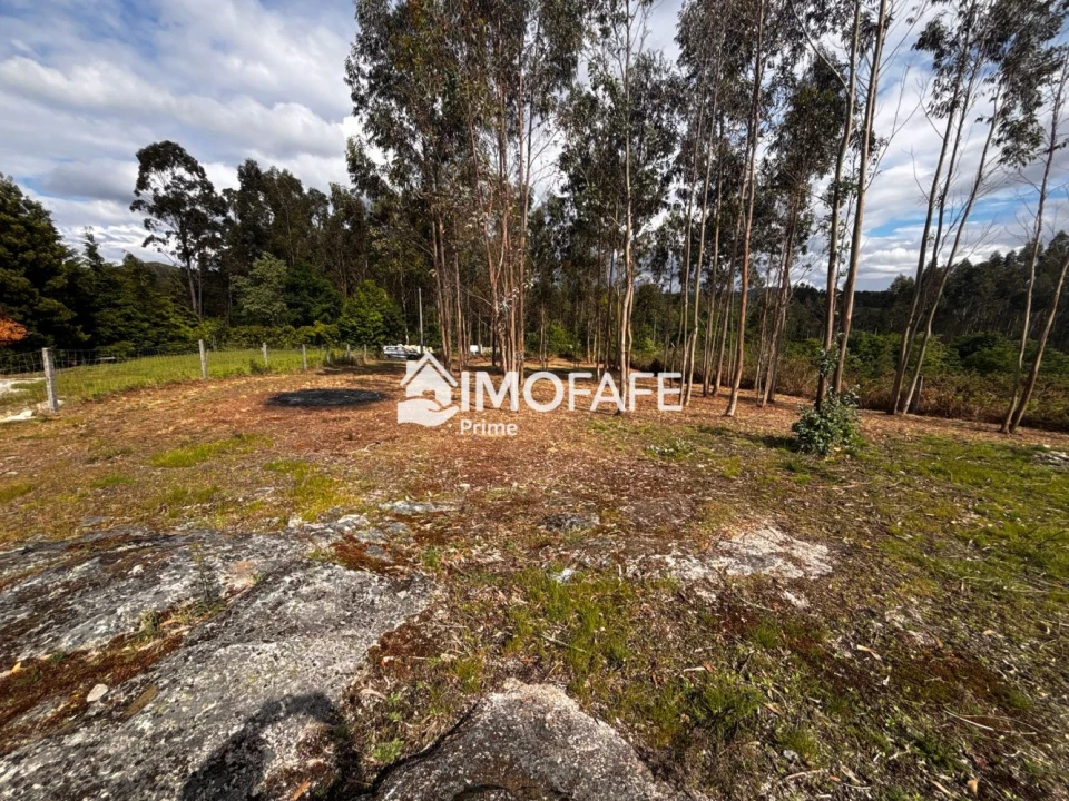Terreno para Venda em Alvaro Foto 4