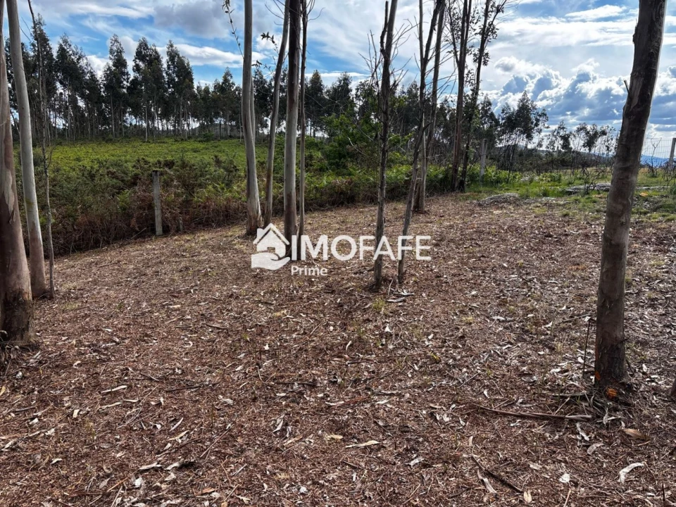 Terreno para Venda em Alvaro Foto 11