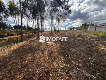 Terreno para Venda em Alvaro
