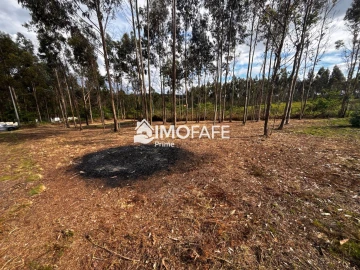Terreno para Venda em Alvaro