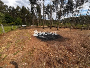 Terreno para Venda em Alvaro