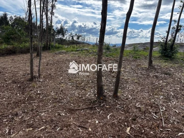 Terreno para Venda em Alvaro