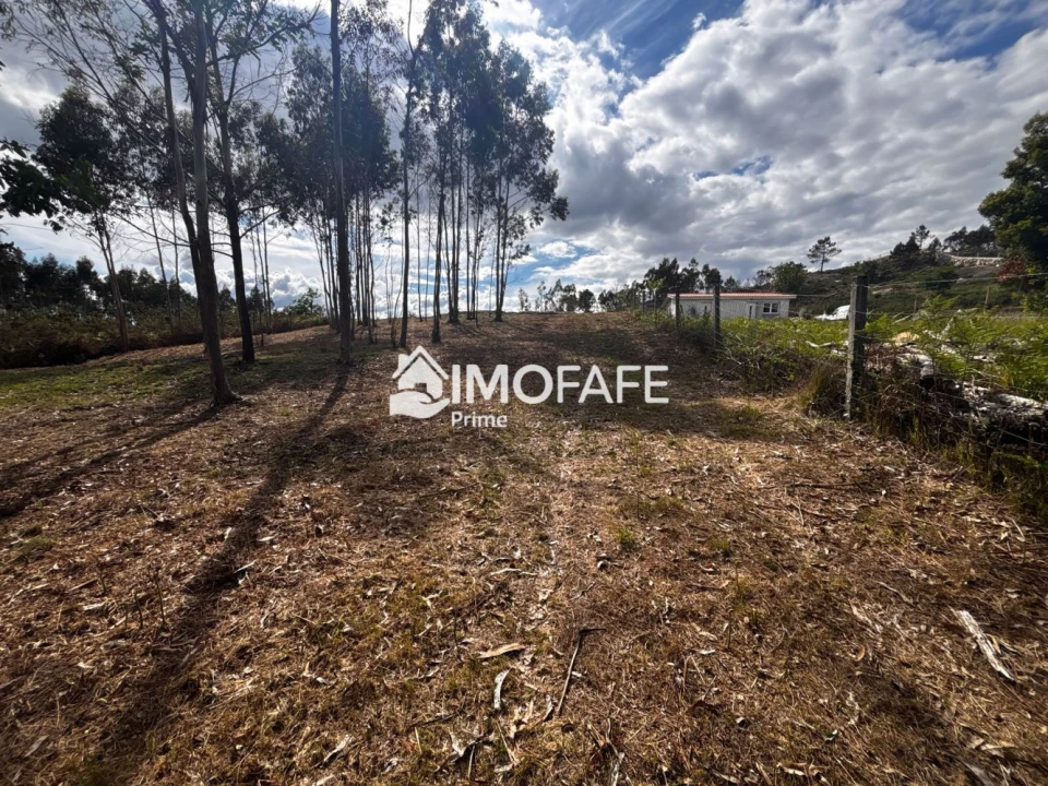 Terreno para Venda em Alvaro Foto 22