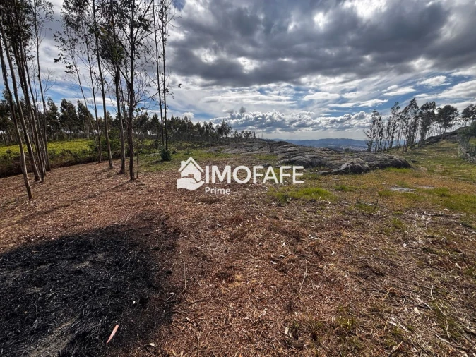 Terreno para Venda em Alvaro Foto 6