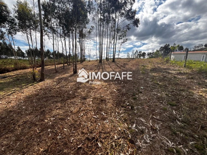 Terreno para Venda em Alvaro Foto 10
