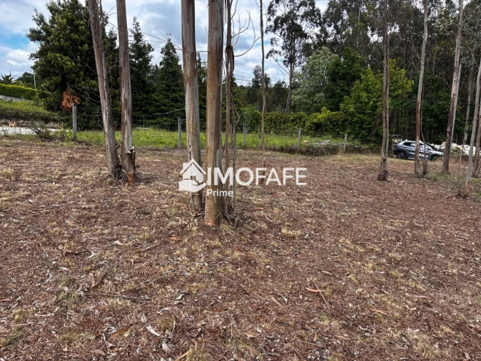 Terreno para Venda em Alvaro Foto 7