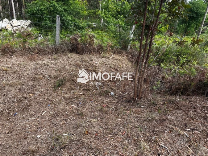 Terreno para Venda em Alvaro Foto 29
