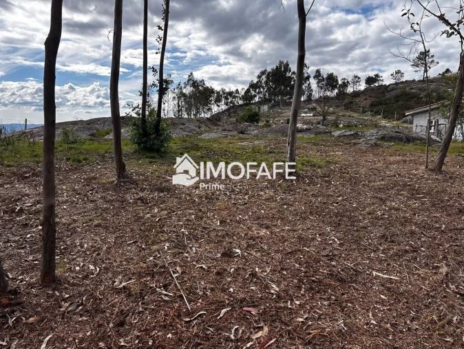 Terreno para Venda em Alvaro Foto 5