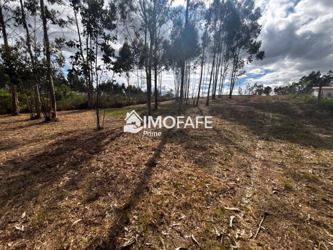 Terreno para Venda em Alvaro Foto 28