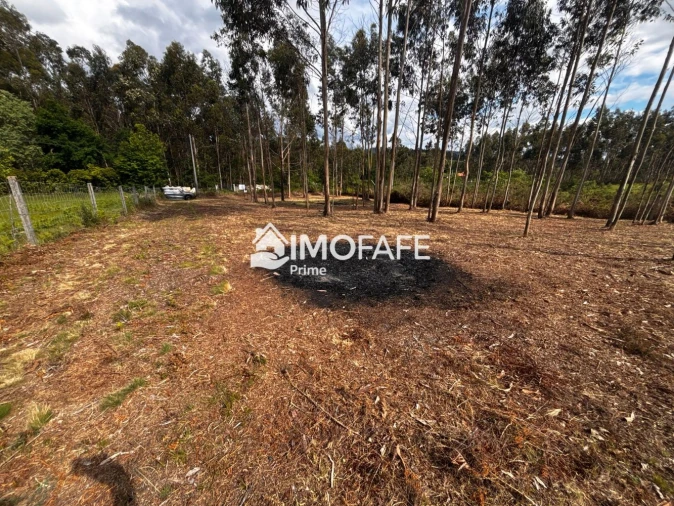 Terreno para Venda em Alvaro Foto 12
