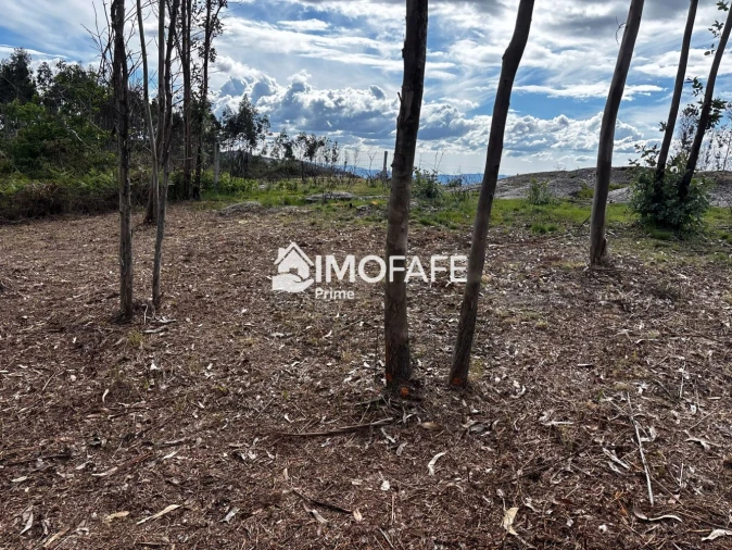 Terreno para Venda em Alvaro Foto 19