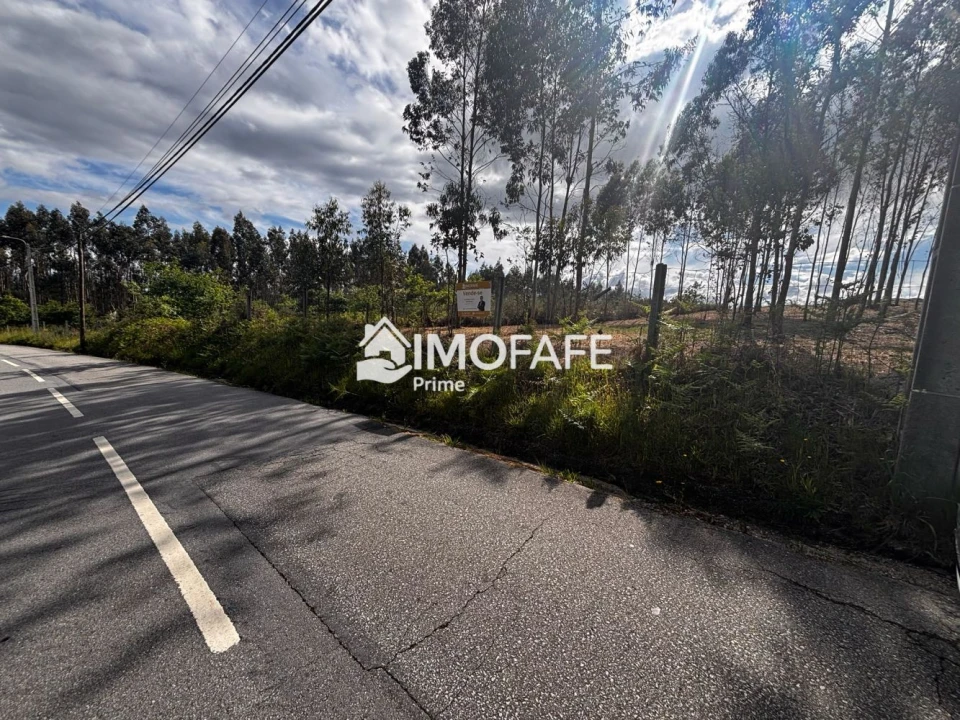 Terreno para Venda em Alvaro Foto 2
