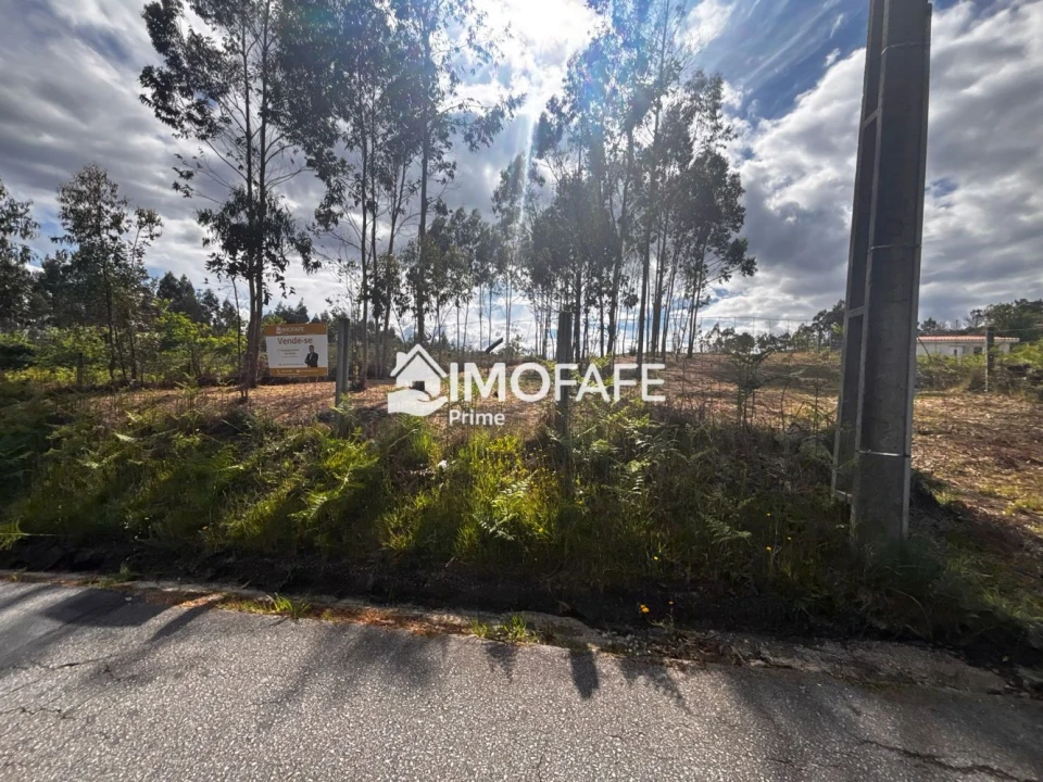 Terreno para Venda em Alvaro Foto 1