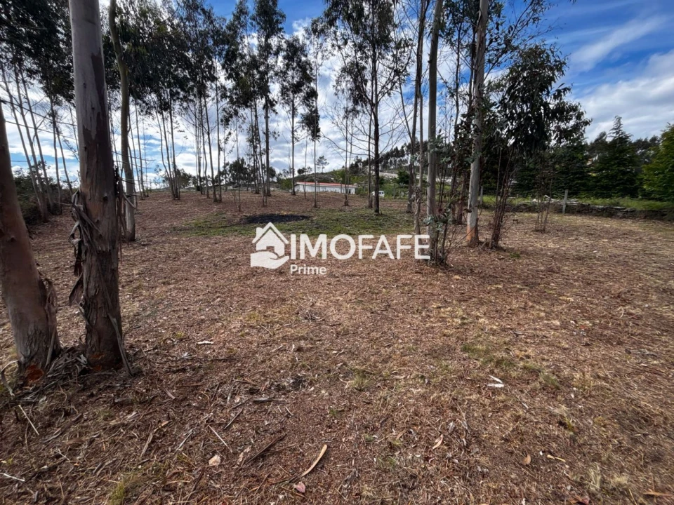 Terreno para Venda em Alvaro Foto 3