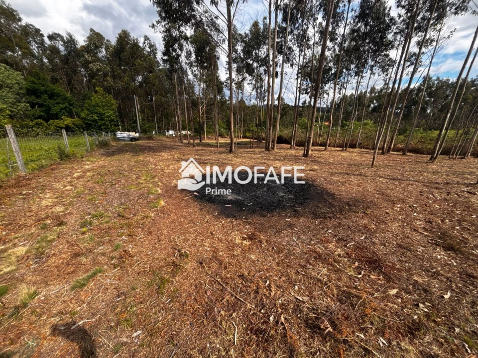 Terreno para Venda em Alvaro Foto 12