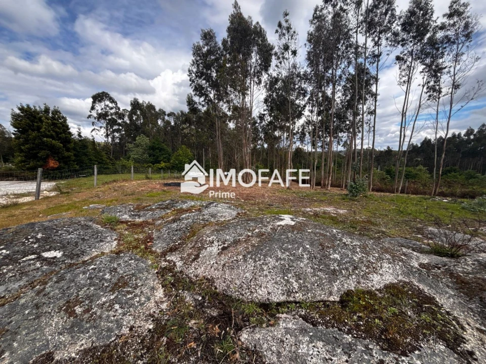 Terreno para Venda em Alvaro Foto 9
