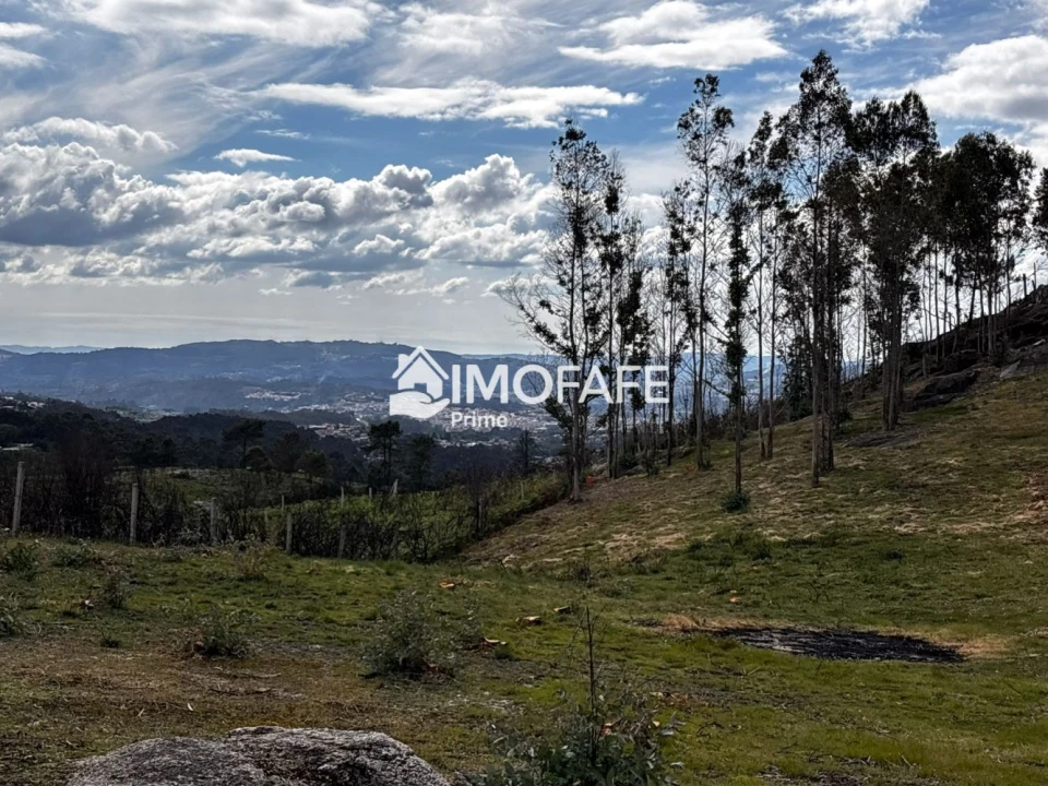 Terreno para Venda em Alvaro Foto 8