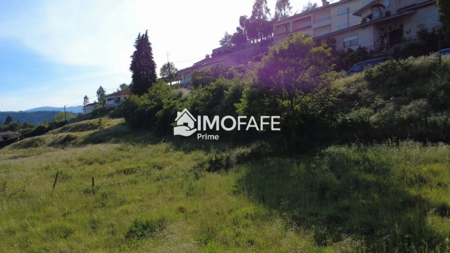 Terreno para Venda em Mondim de Basto Foto 13
