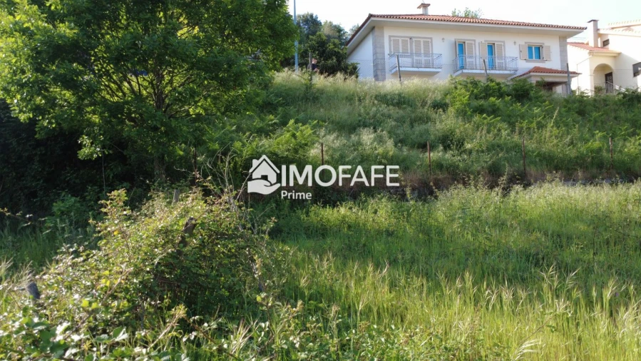 Terreno para Venda em Mondim de Basto Foto 20