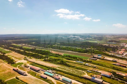 Terreno para Venda em Ferrel