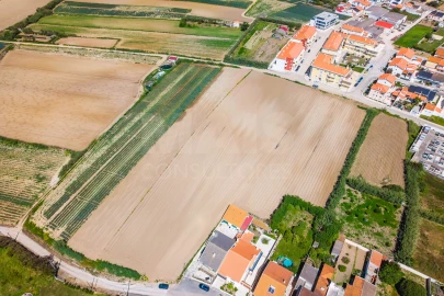 Terreno para Venda em Atouguia da Baleia