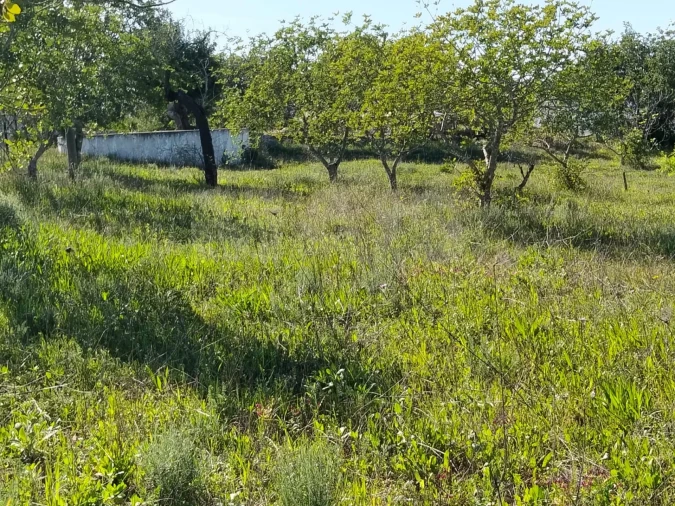 Moradia T3 para Venda em Santa Barbara de Nexe Foto 7