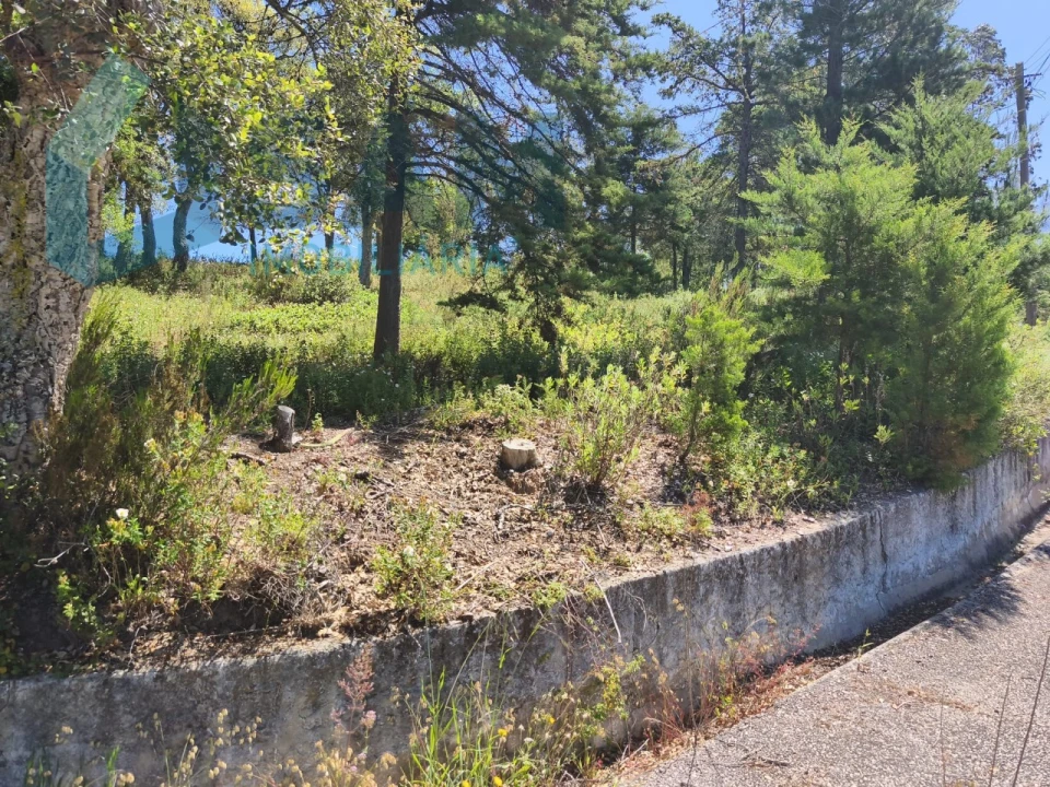Terreno para Venda em Cadaval e Pêro Moniz Foto 4