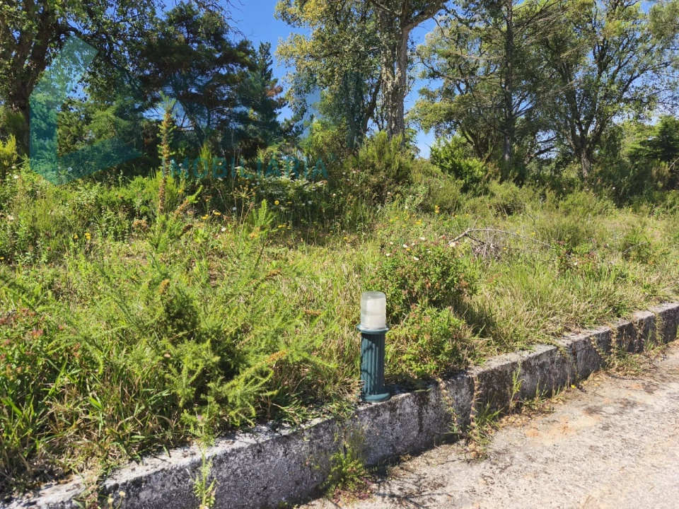 Terreno para Venda em Cadaval e Pêro Moniz Foto 7