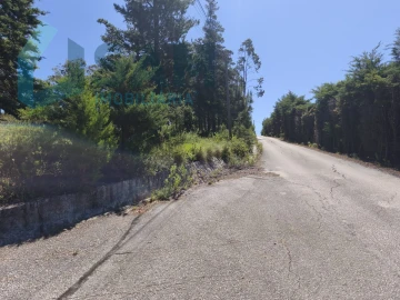 Terreno para Venda em Cadaval e Pêro Moniz