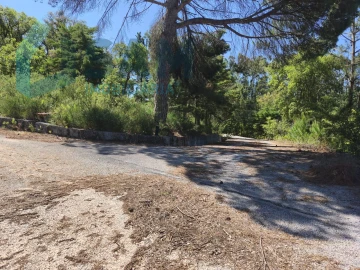 Terreno para Venda em Cadaval e Pêro Moniz