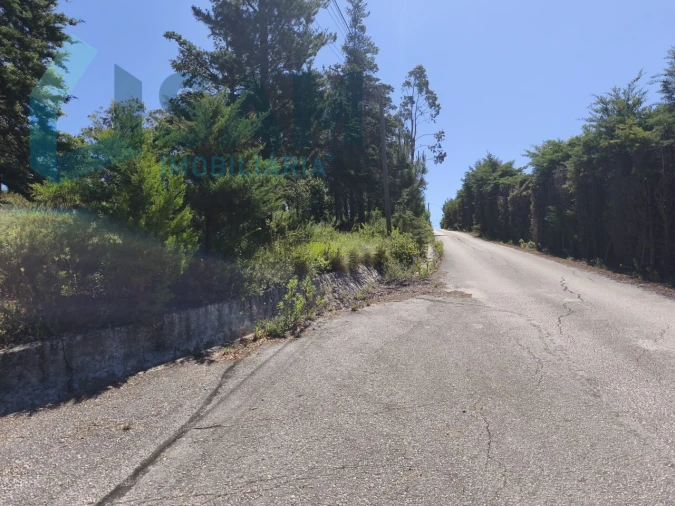 Terreno para Venda em Cadaval e Pêro Moniz Foto 5