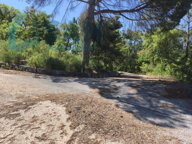 Terreno para Venda em Cadaval e Pêro Moniz Foto 8