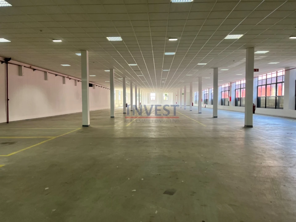 Armazém para Arrendamento em Paranhos Foto 15