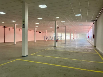 Armazém para Arrendamento em Paranhos