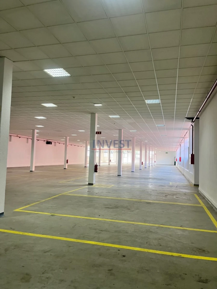 Armazém para Arrendamento em Paranhos Foto 16