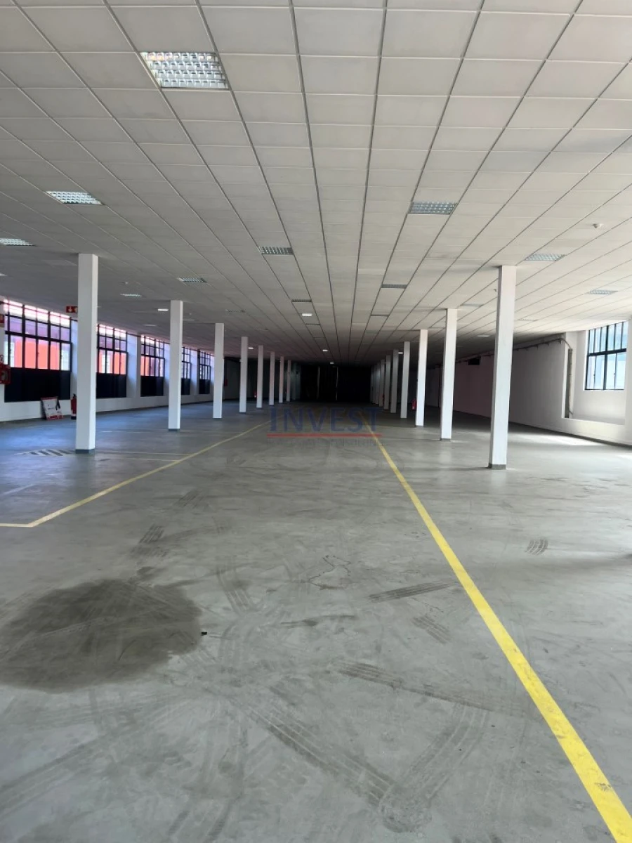 Armazém para Arrendamento em Paranhos Foto 19
