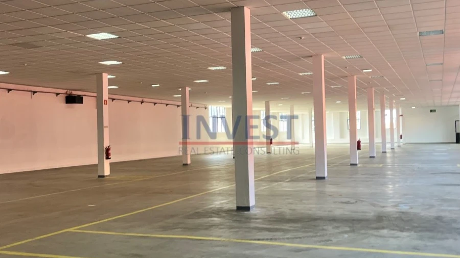 Armazém para Arrendamento em Paranhos