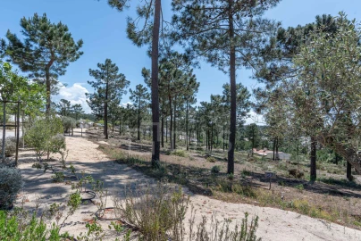 Terreno para Venda em Carvalhal