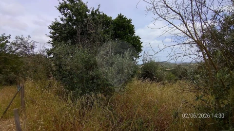 Moradia T2 para Venda em Beco