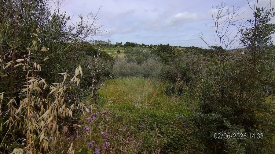 Moradia T2 para Venda em Beco Foto 17