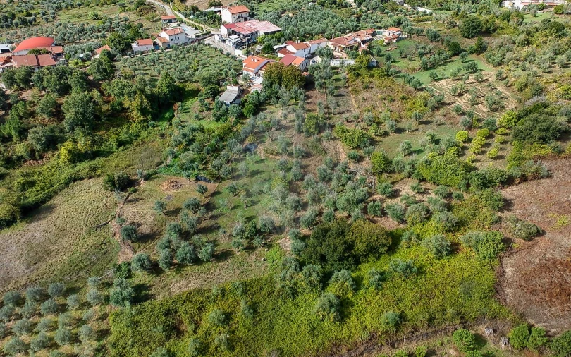 Moradia T2 para Venda em Beco Foto 13