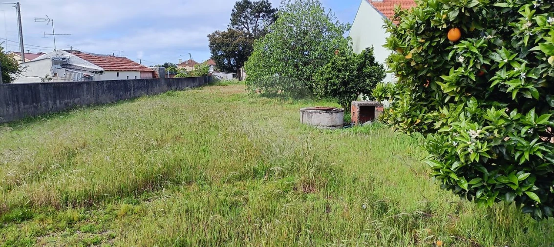 Terreno para Venda em Ovar, São João, Arada e São Vicente de Pereira Jusã Foto 3
