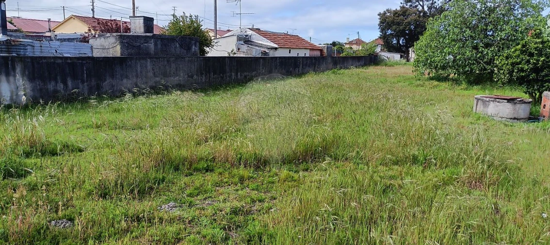 Terreno para Venda em Ovar, São João, Arada e São Vicente de Pereira Jusã Foto 2