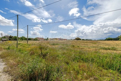 Moradia T4 para Venda em Glória do Ribatejo e Granho