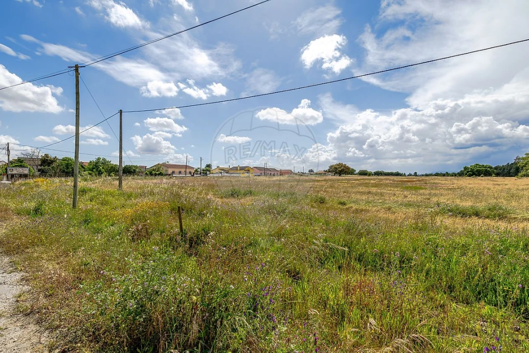 Moradia T4 para Venda em Glória do Ribatejo e Granho Foto 49