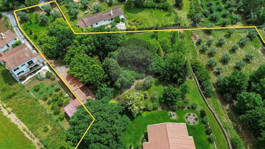 Moradia T6 para Venda em Côja e Barril de Alva Foto 28