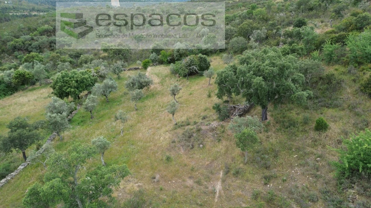 Terreno para Venda em Perais Foto 5