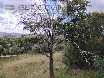 Terreno para Venda em Perais