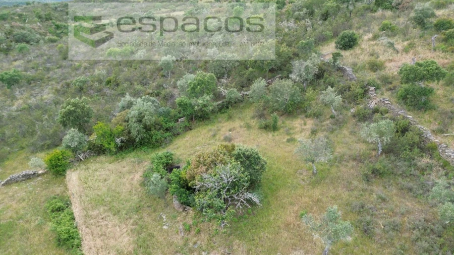 Terreno para Venda em Perais Foto 6