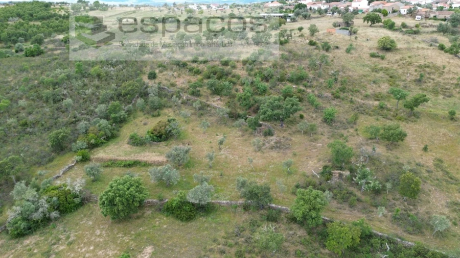 Terreno para Venda em Perais Foto 9